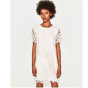 Zara Off White Lace Front Shift Dress, NWT, S